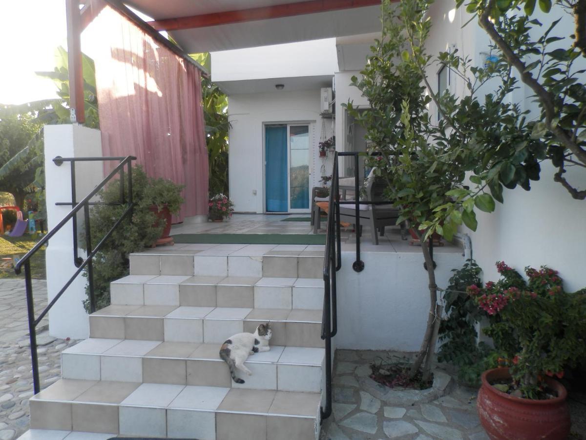 Silvi Mari Apartments بلاتانيز المظهر الخارجي الصورة