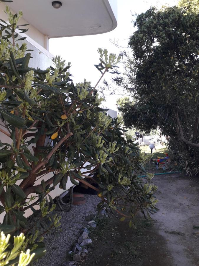 Silvi Mari Apartments بلاتانيز المظهر الخارجي الصورة