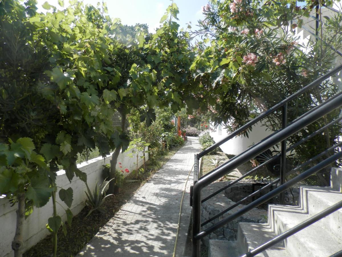 Silvi Mari Apartments بلاتانيز المظهر الخارجي الصورة